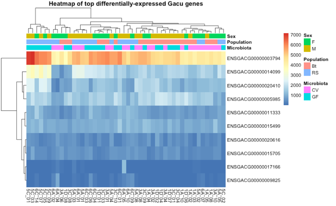 Heat map displaying the top 10 differentially-expressed genes in the data set. Clusters are based on similarity, and influence measures are displayed at the top.