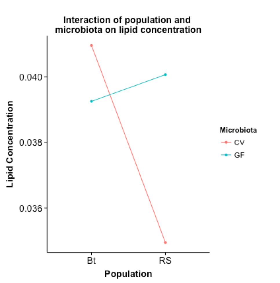 Interaction plot of population and microbiota treatment on lipid concentration